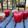 Handcrafted Wooden Fruit Collection Apples, Pumpkins, Pears, and Lemons