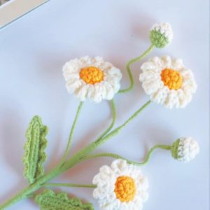 Handmade Crochet Daisy Flower A Personalized Item for Teachers, Home Decor, and Desk Embellishment