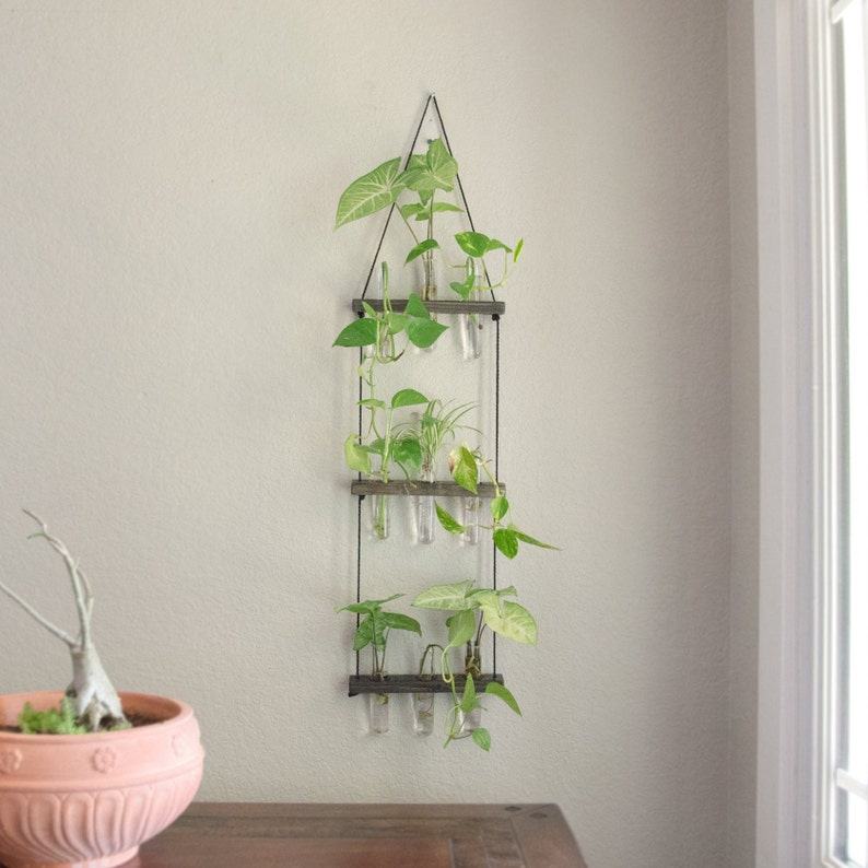 Hanging Ladder Propagation Station Elevate Your Plant Propagation with Style