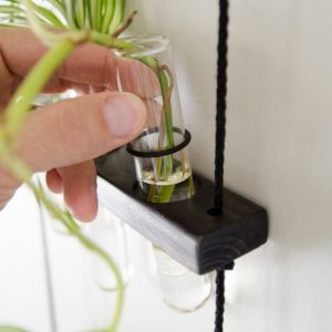 Hanging Ladder Propagation Station Elevate Your Plant Propagation with Style
