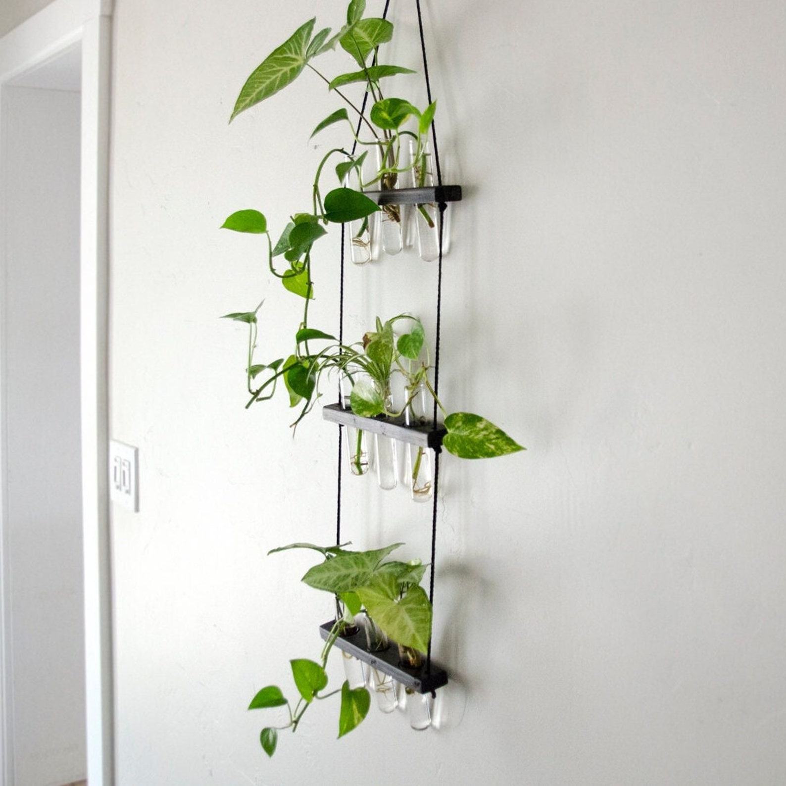 Hanging Ladder Propagation Station Elevate Your Plant Propagation with Style