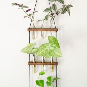 Hanging Ladder Propagation Station Elevate Your Plant Propagation with Style
