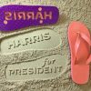 HARRIS for PRESIDENT Flip Flops Walk in Style with 140 Vibrant Colors and a Sandy Impression