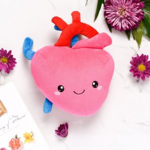 Heartfelt Plush A Symbol of Love and Resilience for Cardiology Professionals
