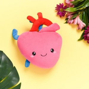Heartfelt Plush A Symbol of Love and Resilience for Cardiology Professionals