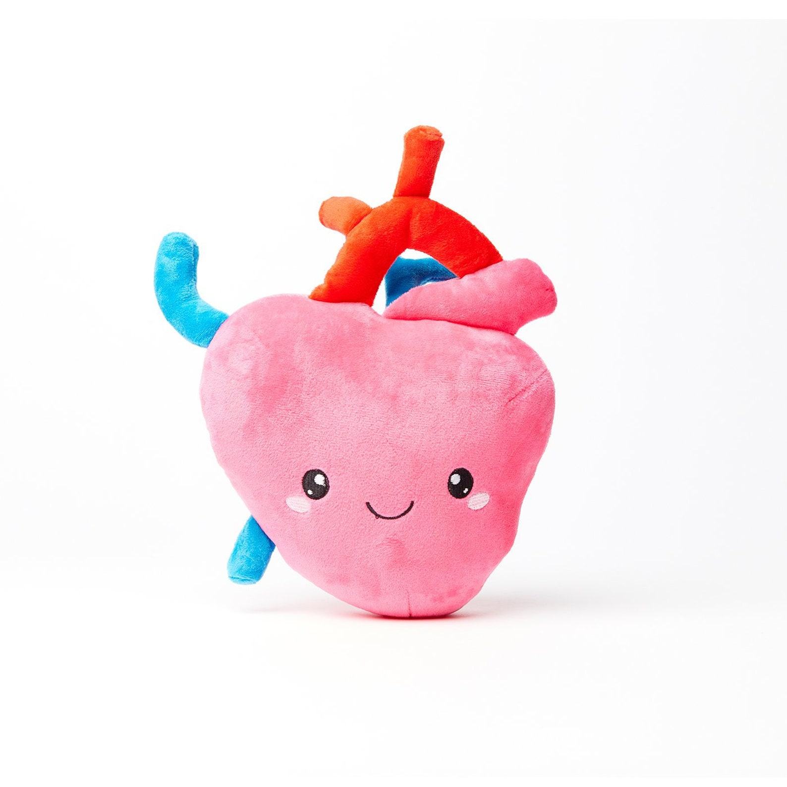 Heartfelt Plush A Symbol of Love and Resilience for Cardiology Professionals