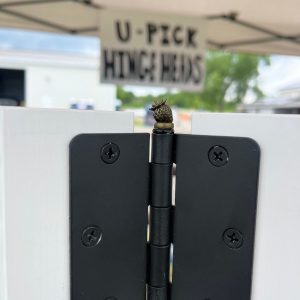 Hinge Head Strawberry Trio A Sweet and Savory Treat for Your Garden