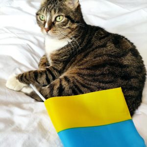 I Stand With Ukraine Digital Download – Ukraine Flag Art, Show Your Support!