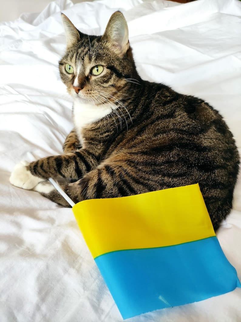 I Stand With Ukraine Digital Download – Ukraine Flag Art, Show Your Support!