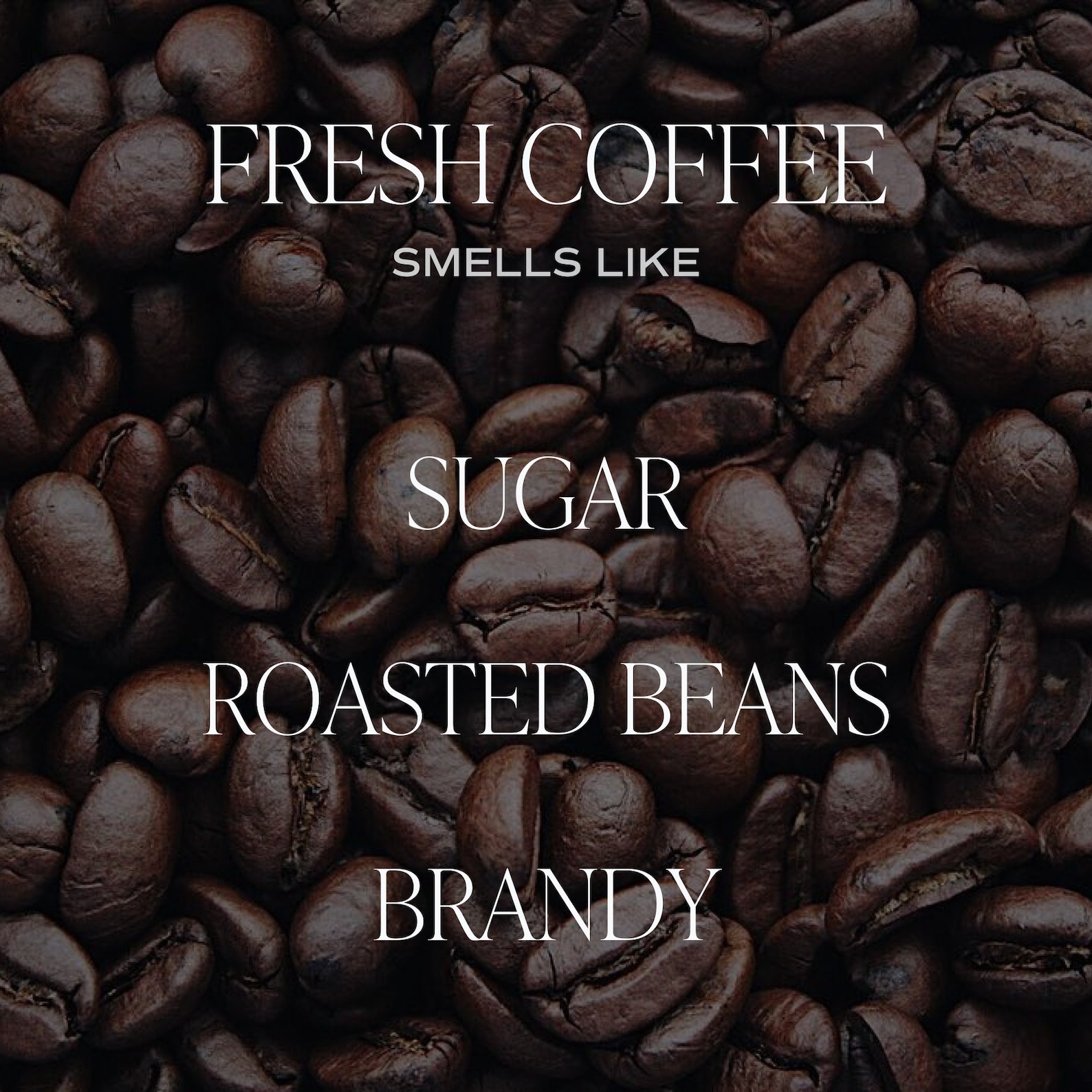 Indulge in the Aroma of Freshly Brewed Coffee The Ultimate Coffee Lover’s Candle