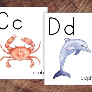 Learn with Color and Fun Giant Alphabet Posters for Classroom Adventures