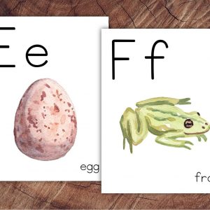 Learn with Color and Fun Giant Alphabet Posters for Classroom Adventures