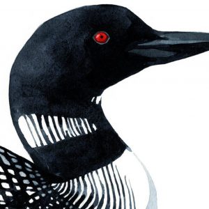 Loon Art Print Tranquil Watercolor Serenity for Coastal and Lakehouse Ambiance