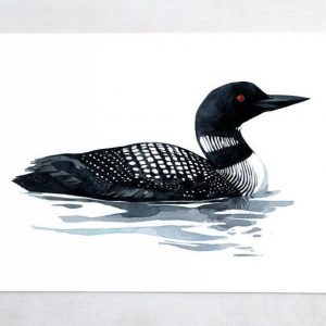 Loon Art Print Tranquil Watercolor Serenity for Coastal and Lakehouse Ambiance