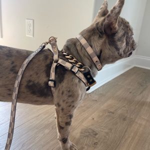 Luxury Checkered Harness and Leash Elevate Your Dog’s Style and Safety
