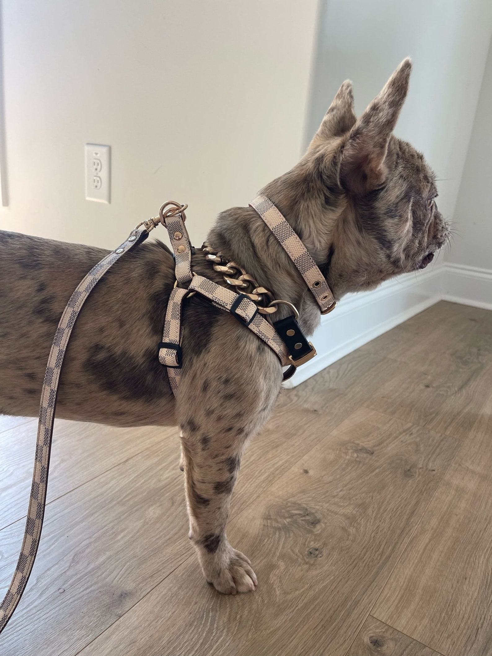 Luxury Checkered Harness and Leash Elevate Your Dog’s Style and Safety - Image 2