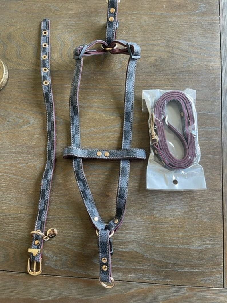 Luxury Checkered Harness and Leash Elevate Your Dog’s Style and Safety