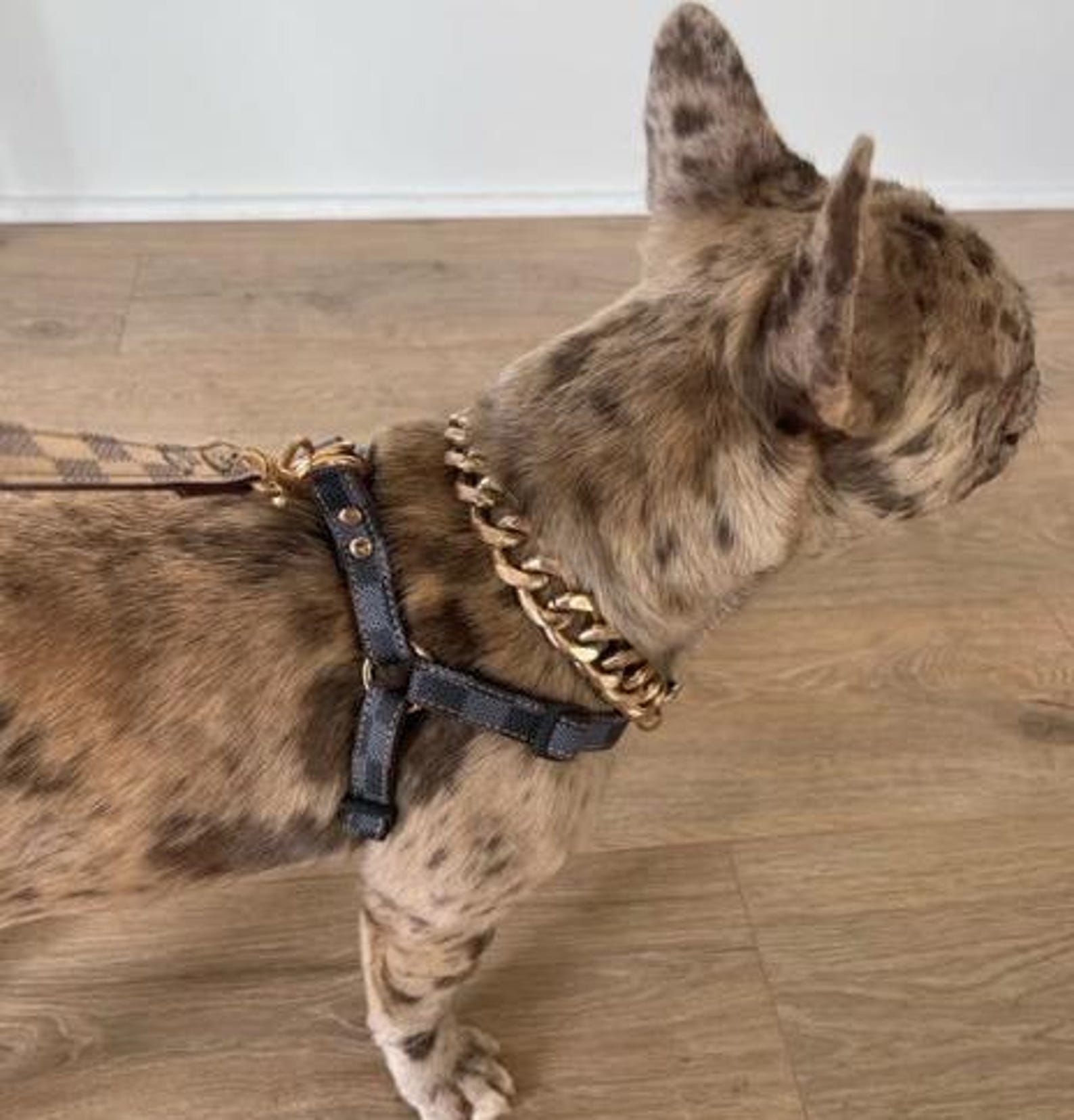 Luxury Checkered Harness and Leash Elevate Your Dog’s Style and Safety - Image 3