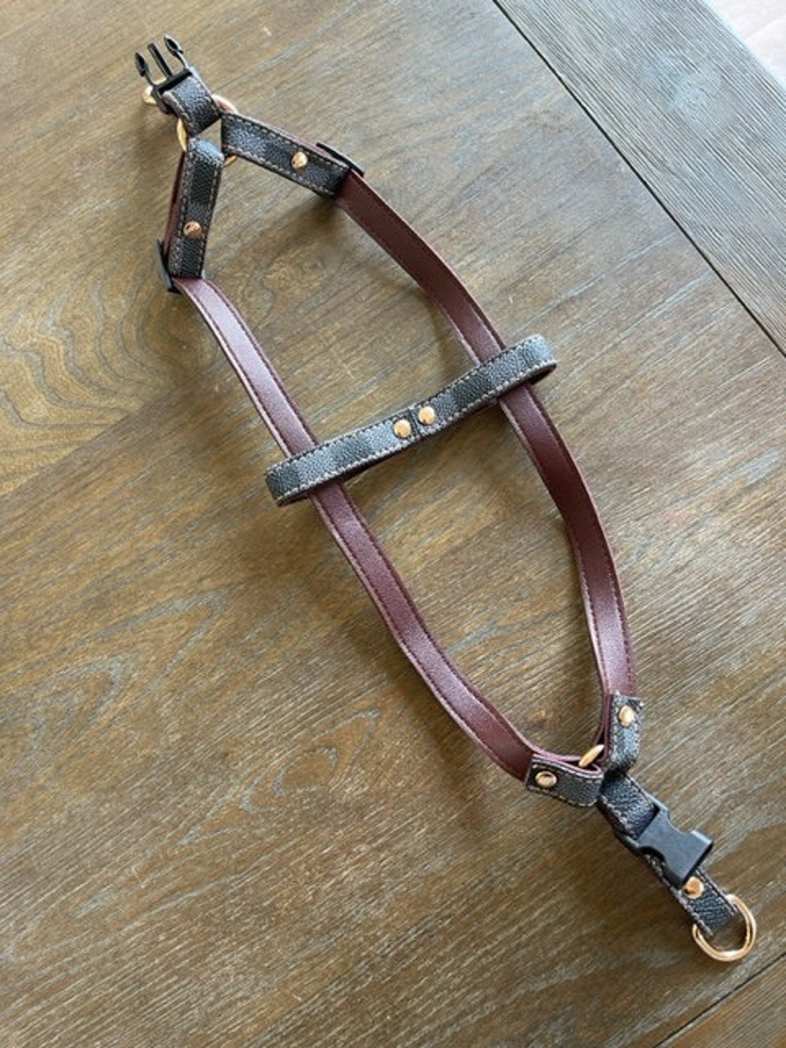 Luxury Checkered Harness and Leash Elevate Your Dog’s Style and Safety - Image 5