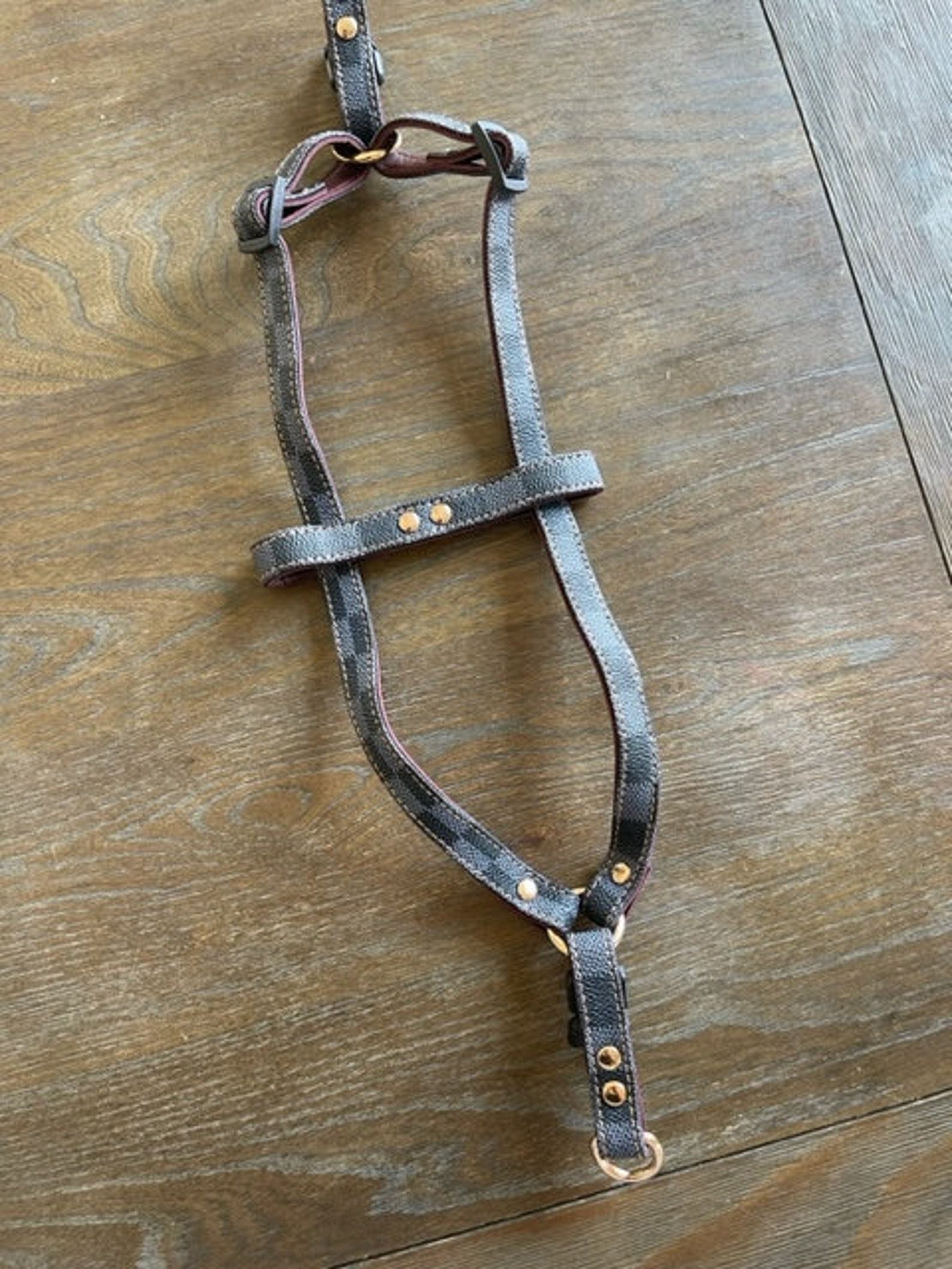 Luxury Checkered Harness and Leash Elevate Your Dog’s Style and Safety - Image 6