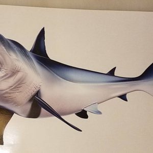 Mako Shark Decal Unleash the Predator on Your Boat