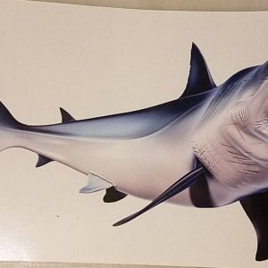 Mako Shark Decal Unleash the Predator on Your Boat