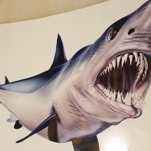 Mako Shark Decal Unleash the Predator on Your Boat