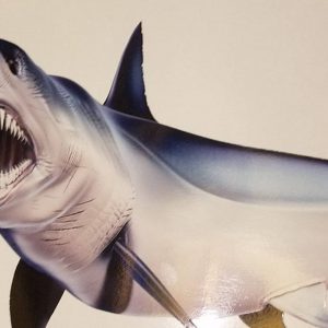 Mako Shark Decal Unleash the Predator on Your Boat