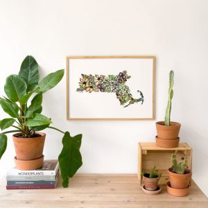 Massachusetts A Floral Tapestry of History and Beauty