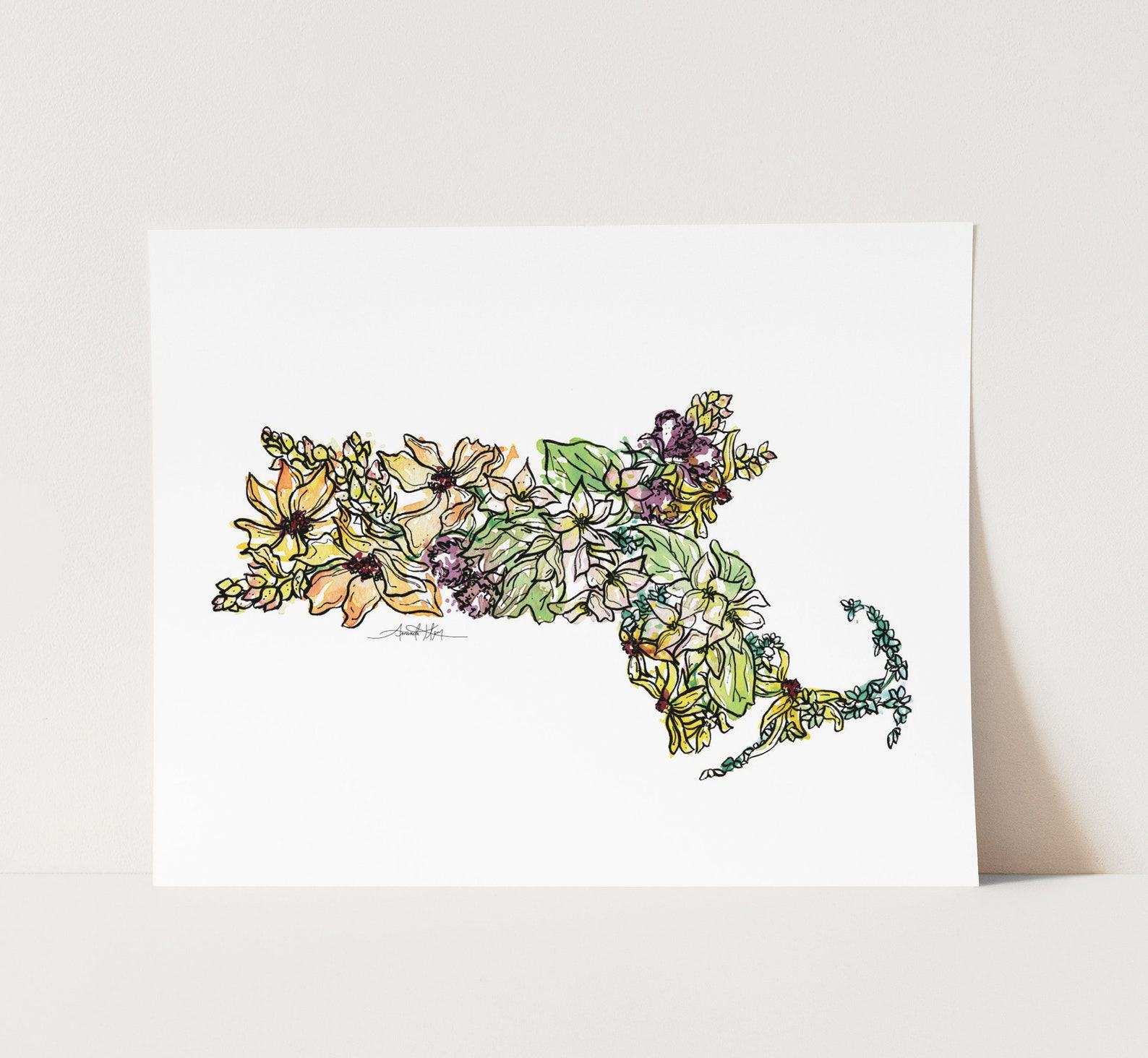 Massachusetts A Floral Tapestry of History and Beauty - Image 2