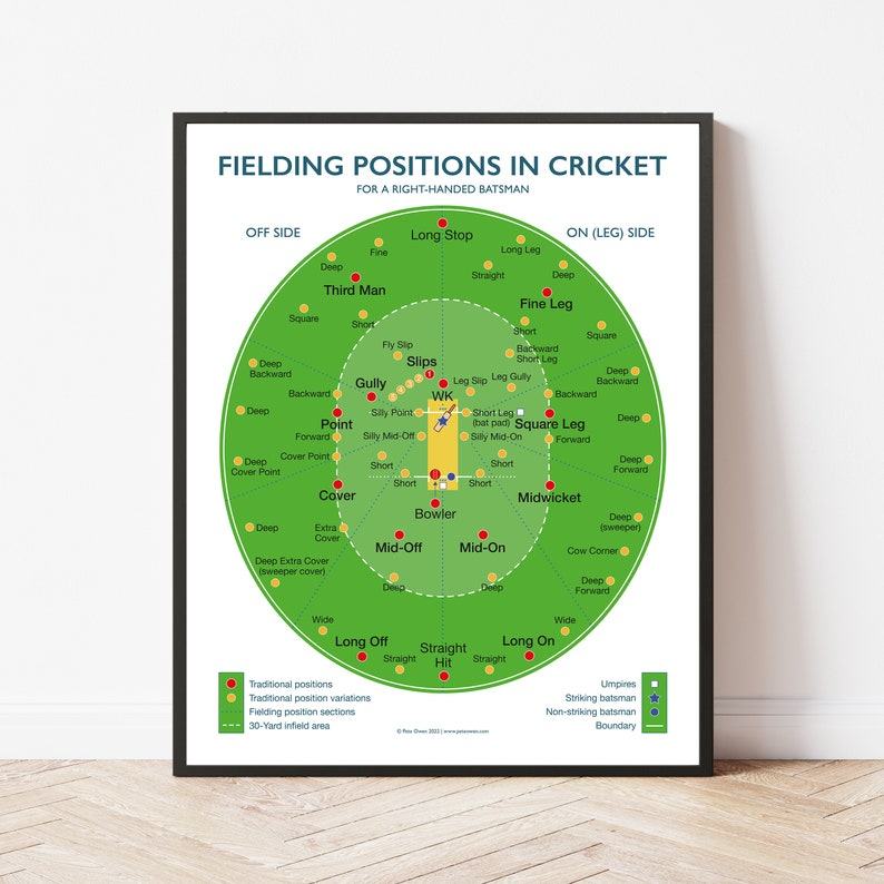 Master the Art of Fielding Elevate Your Cricket Skills with Our Comprehensive Guide