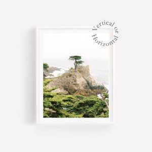Mesmerizing Monterey Coastline Lone Cypress, Carmel-by-the-Sea Wall Art