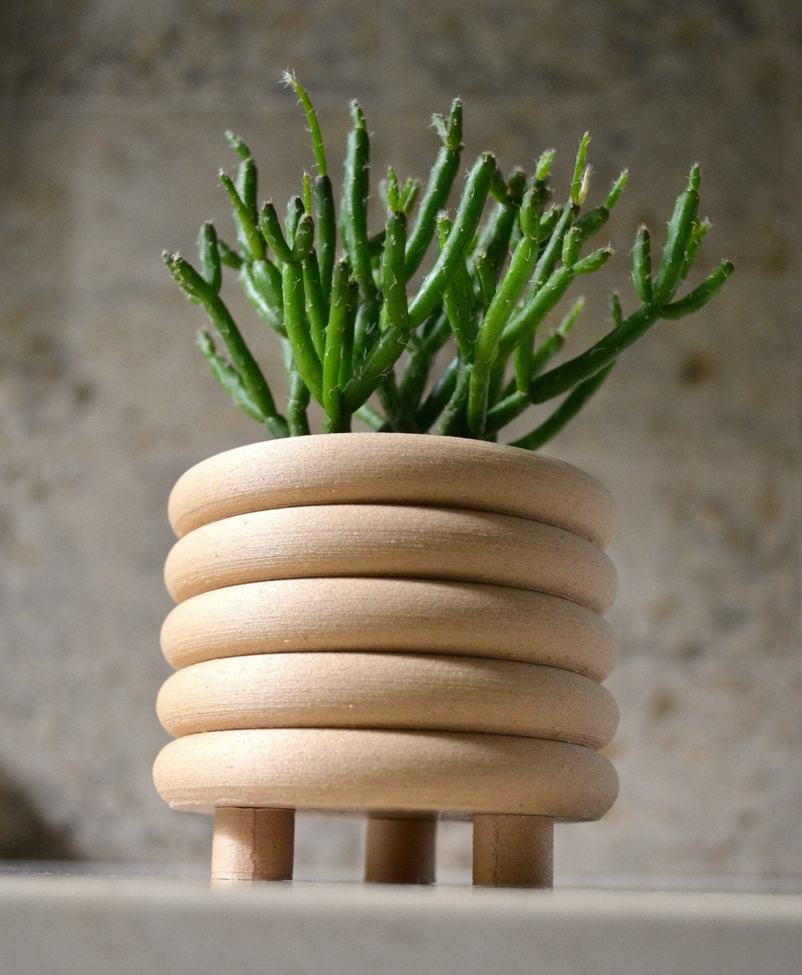 Mid-Century Modern Coiled Planter Elevate Your Indoor Oasis with Matte Sophistication - Image 2