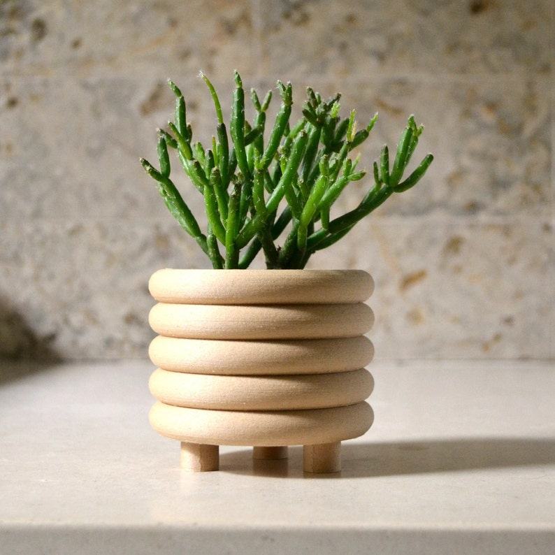 Mid-Century Modern Coiled Planter Elevate Your Indoor Oasis with Matte Sophistication