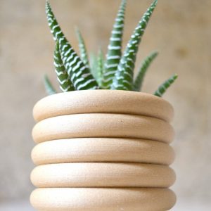 Mid-Century Modern Coiled Planter Elevate Your Indoor Oasis with Matte Sophistication