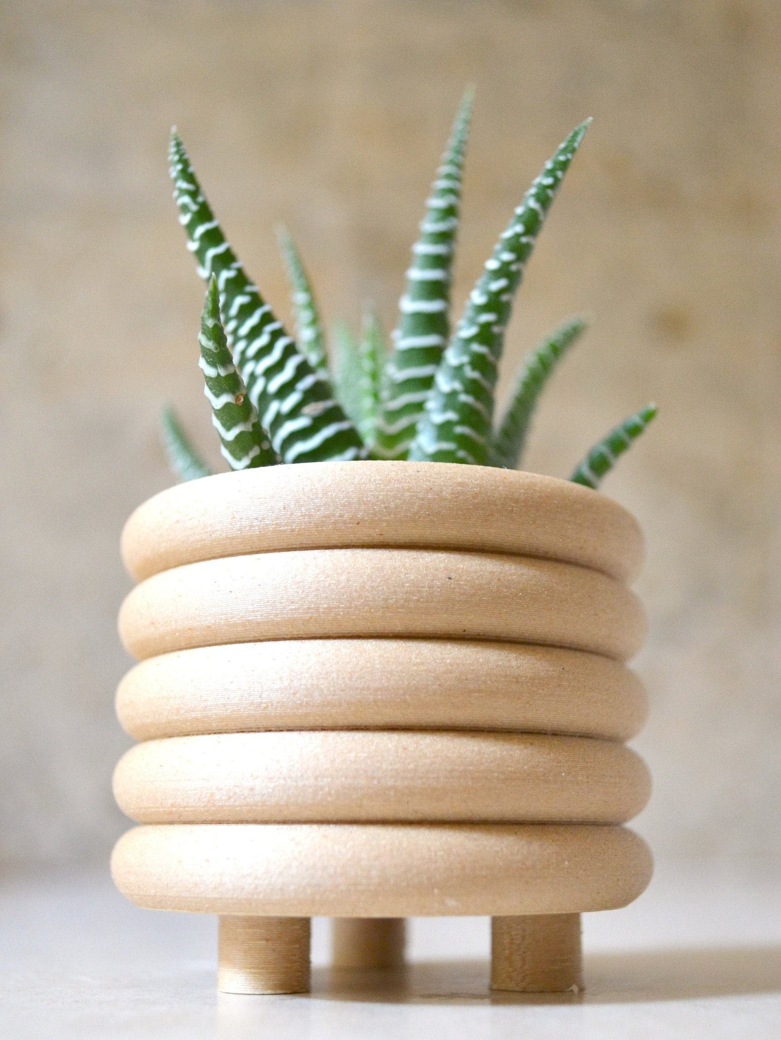 Mid-Century Modern Coiled Planter Elevate Your Indoor Oasis with Matte Sophistication - Image 4