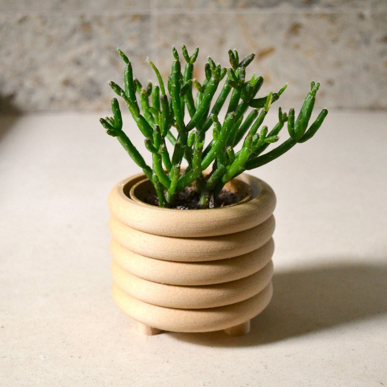 Mid-Century Modern Coiled Planter Elevate Your Indoor Oasis with Matte Sophistication