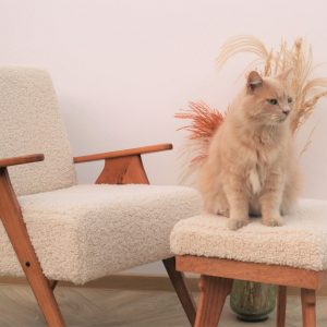 Mid-Century Modern Oasis Vintage Boucle Armchair and Ottoman Set for Timeless Comfort