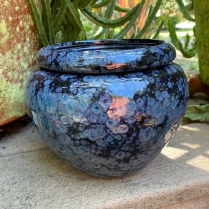 Modern Self-Watering African Violet Pot Elevate Your Window Garden with Style