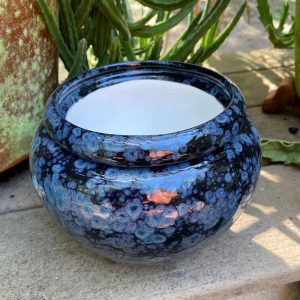 Modern Self-Watering African Violet Pot Elevate Your Window Garden with Style