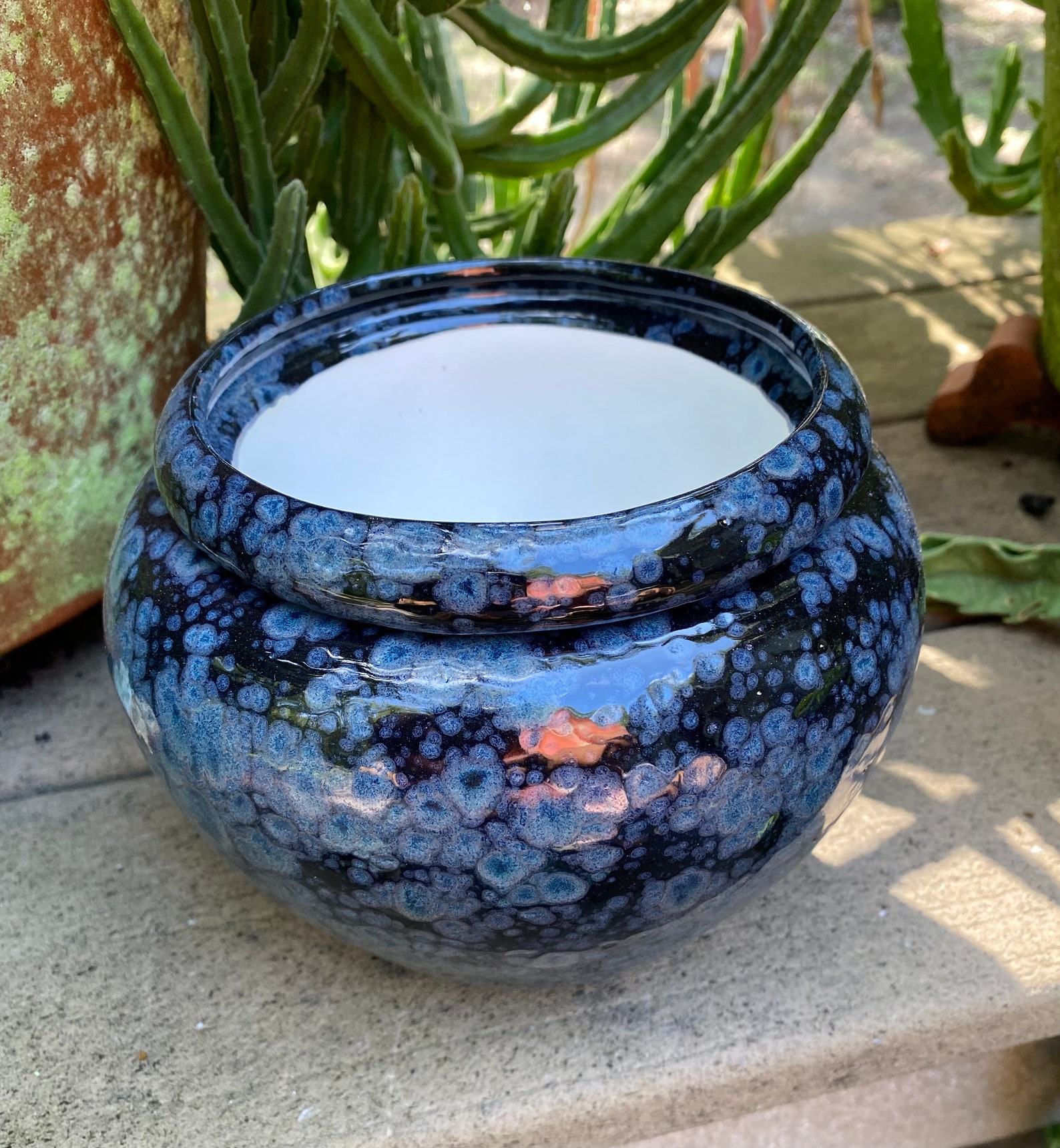 Modern Self-Watering African Violet Pot Elevate Your Window Garden with Style - Image 4