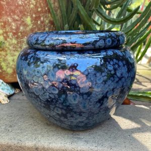 Modern Self-Watering African Violet Pot Elevate Your Window Garden with Style