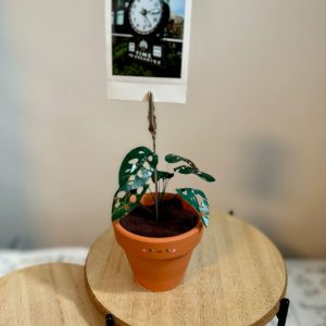 Monstera Adansonii Swiss Cheese Plant in a Handcrafted Photo Stand | 2″ Potted Plant with Hand-Painted Leaves