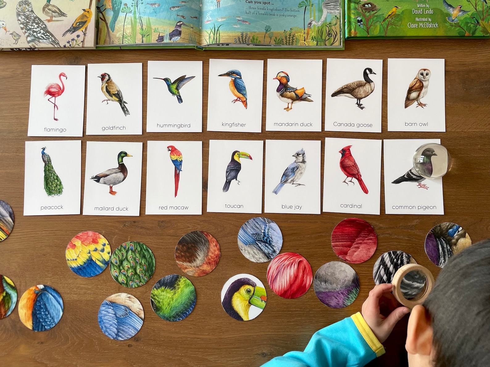 Montessori Bird Flashcards Pattern Matching and Bird Identification for Preschoolers - Image 4