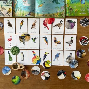 Montessori Bird Flashcards Pattern Matching and Bird Identification for Preschoolers