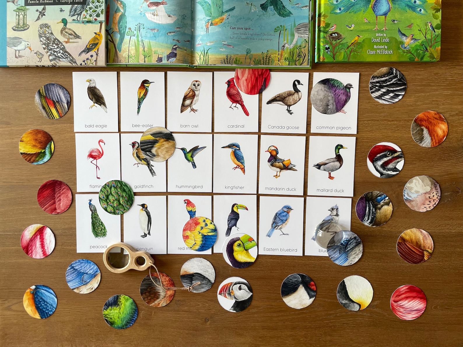 Montessori Bird Flashcards Pattern Matching and Bird Identification for Preschoolers - Image 6