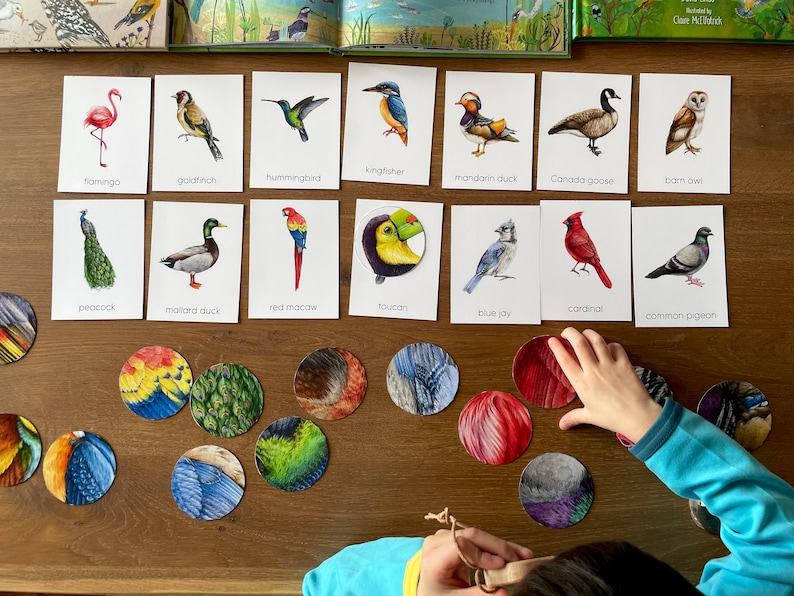 Montessori Bird Flashcards Pattern Matching and Bird Identification for Preschoolers