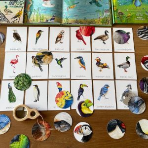 Montessori Bird Flashcards Pattern Matching and Bird Identification for Preschoolers