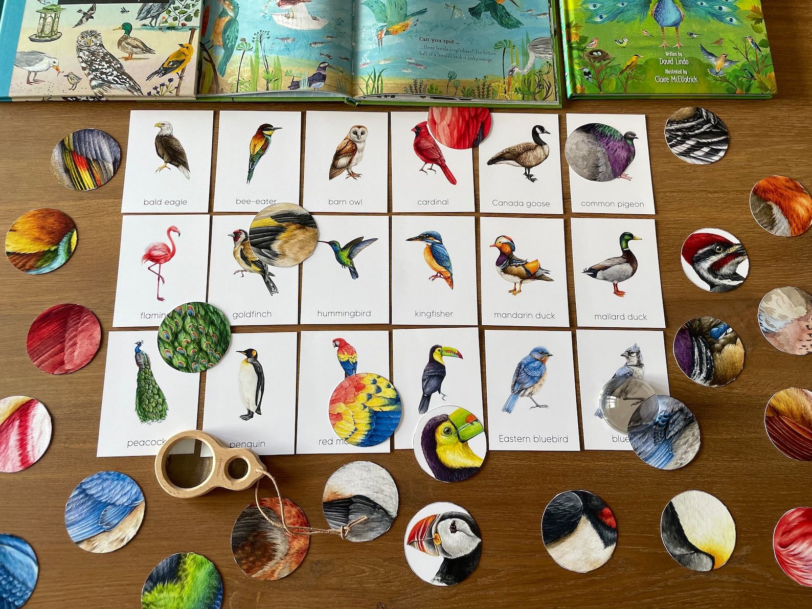 Montessori Bird Flashcards Pattern Matching and Bird Identification for Preschoolers - Image 5