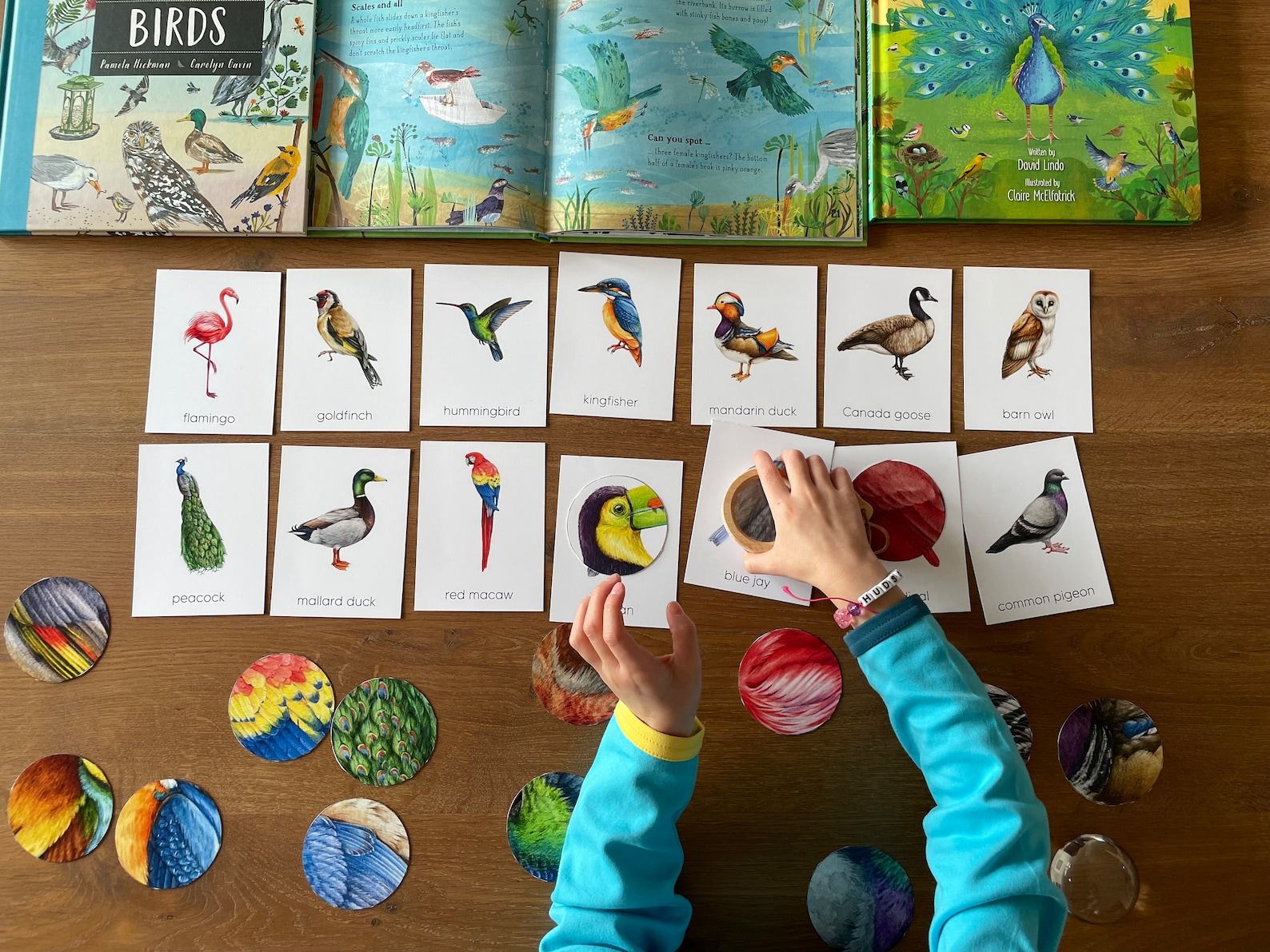 Montessori Bird Flashcards Pattern Matching and Bird Identification for Preschoolers - Image 3